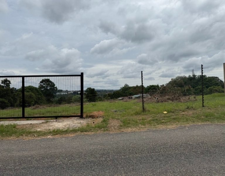 25e45d773d51456a8367c5002aec8917