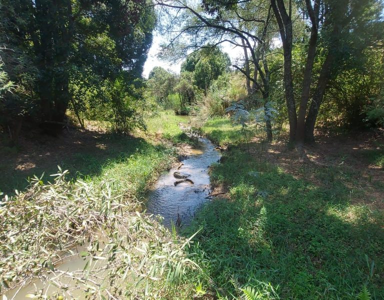 31ecfc3754614d89b9e735dfbfb6a6f9