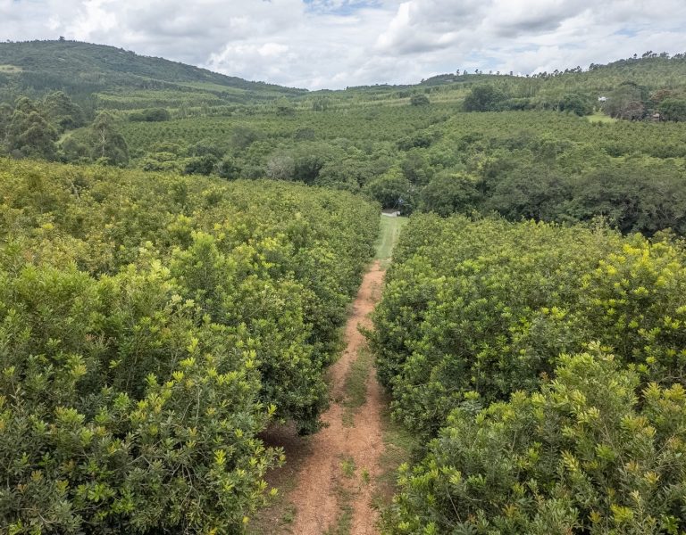 DJI_20250217135145_0185_D